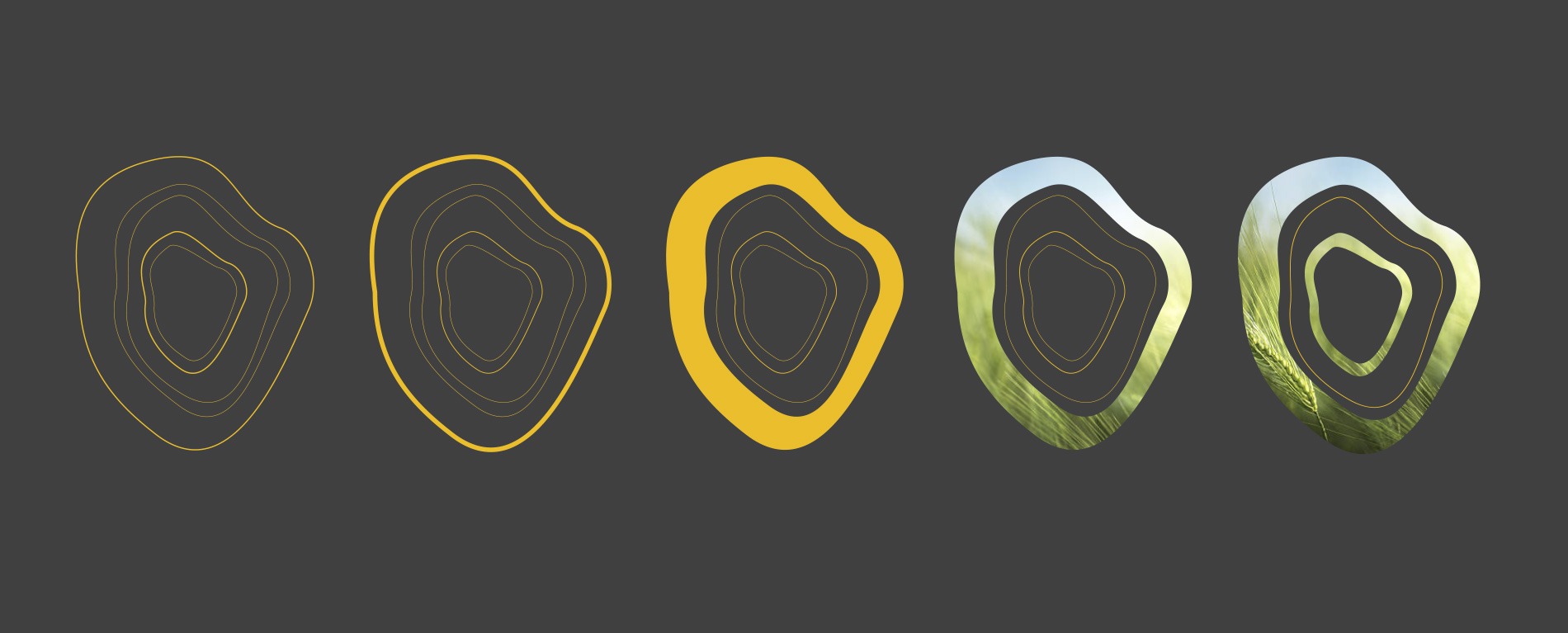 Corbium visual language