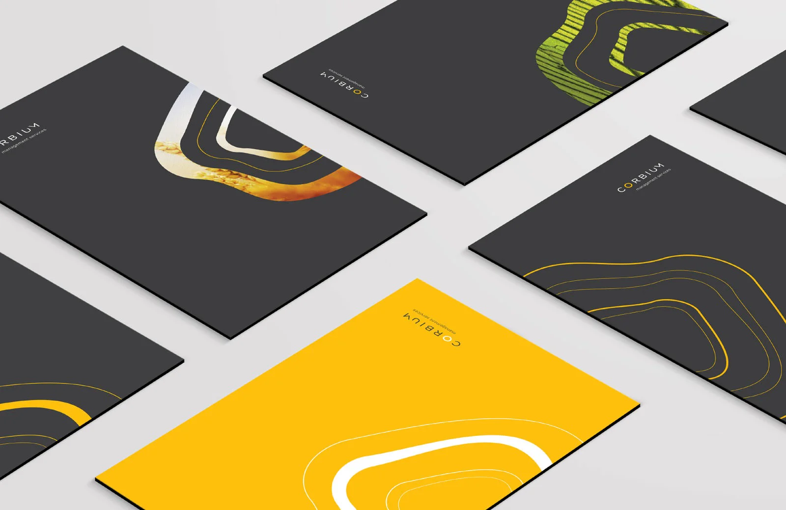 Corbium brochure