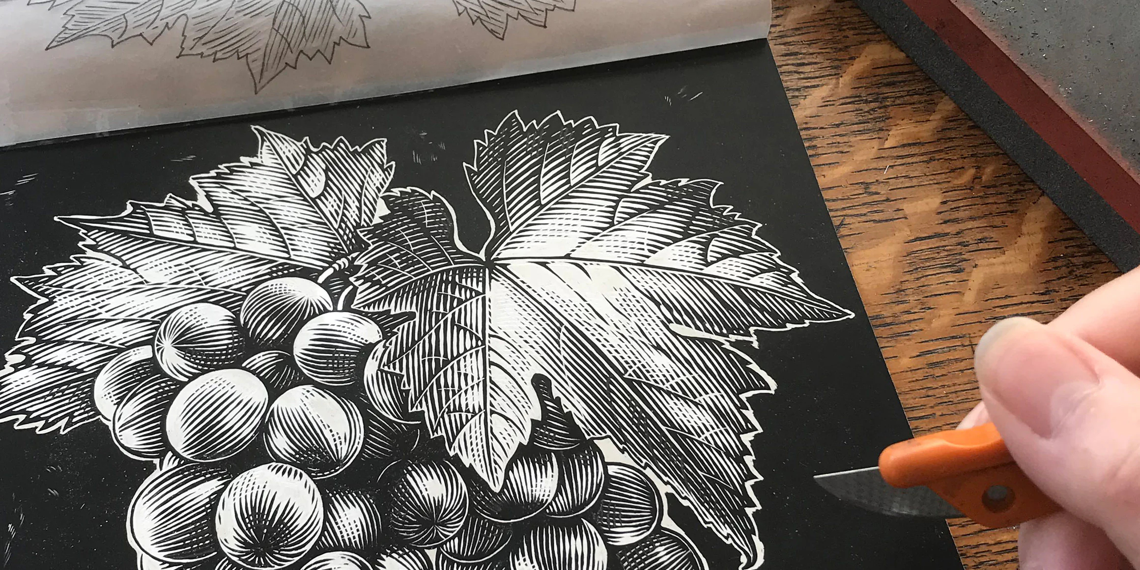Kloovenberg Grapes Illustration