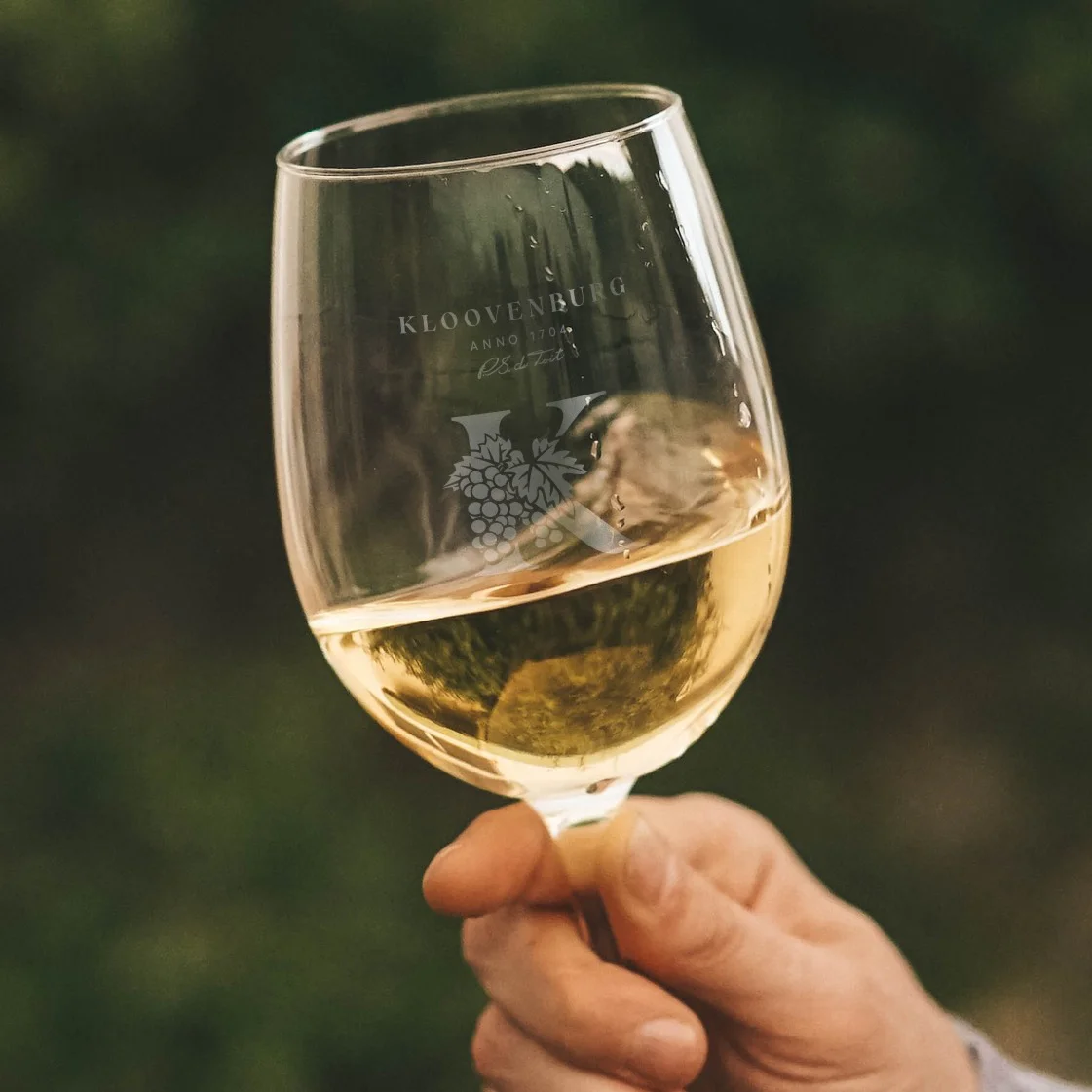 Kloovenburg Wineglass