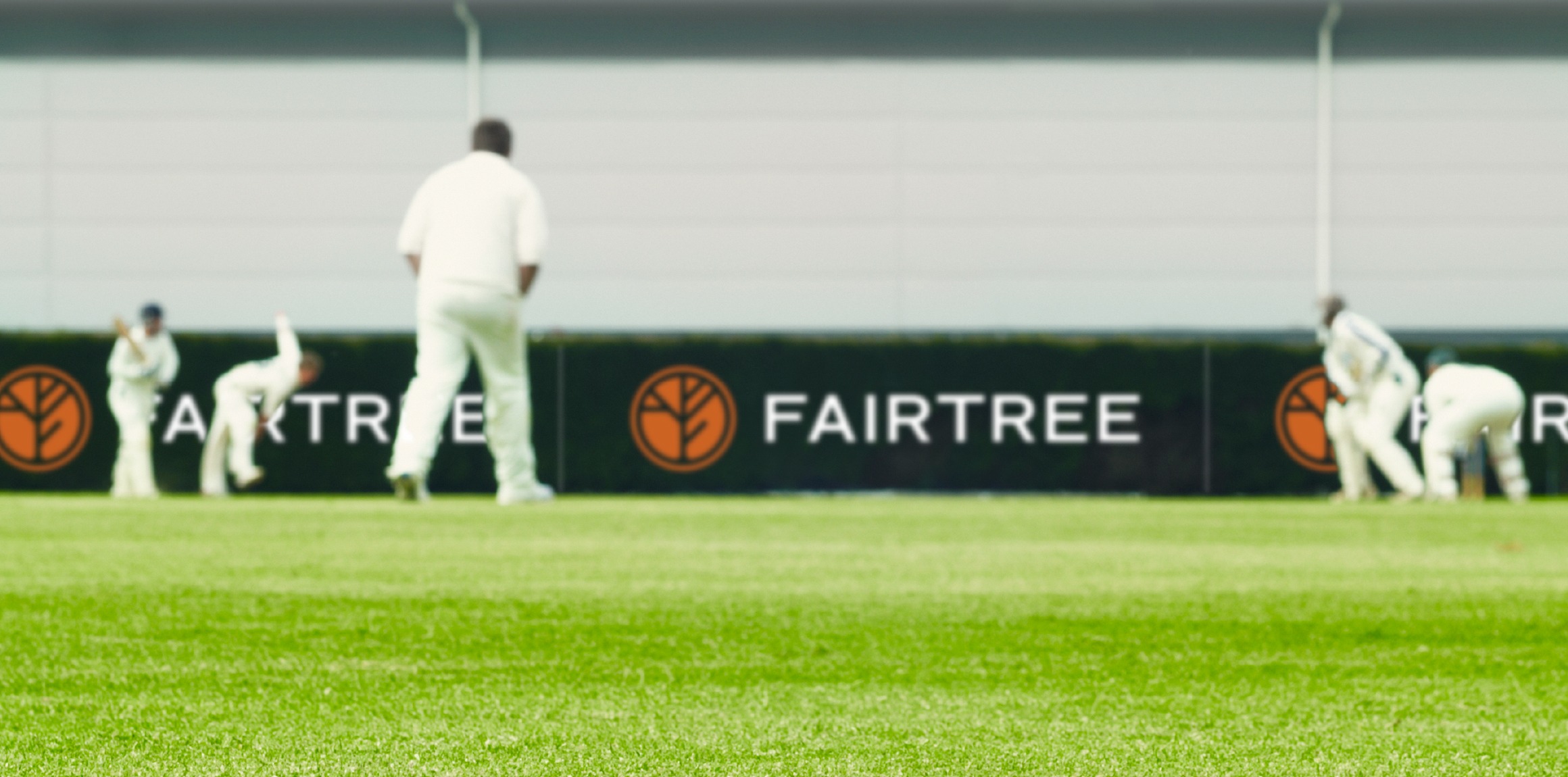 Fairtree cricket field
