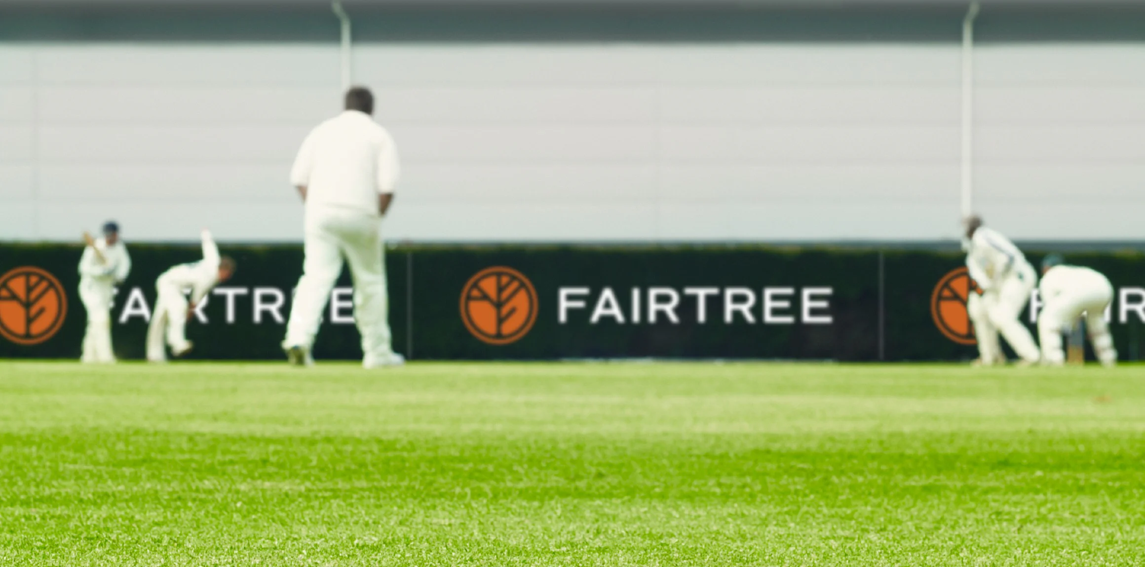 Fairtree cricket field