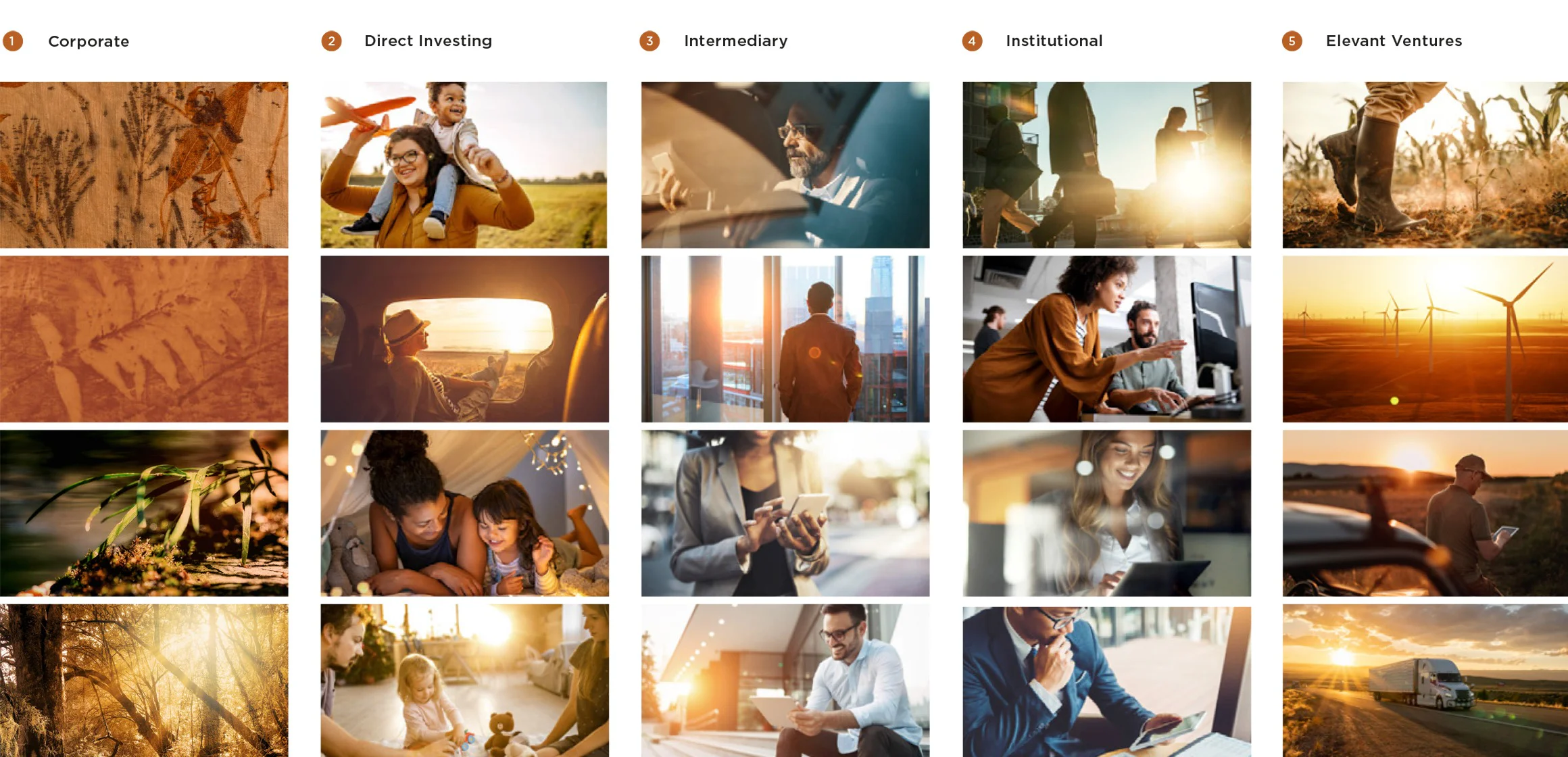 Fairtree brand imagery