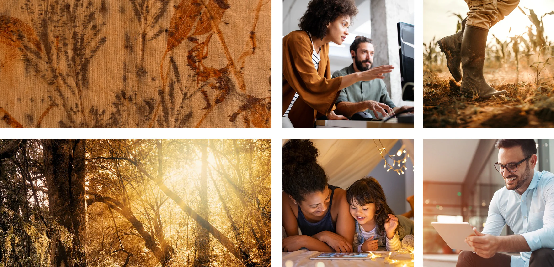 Fairtree imagery