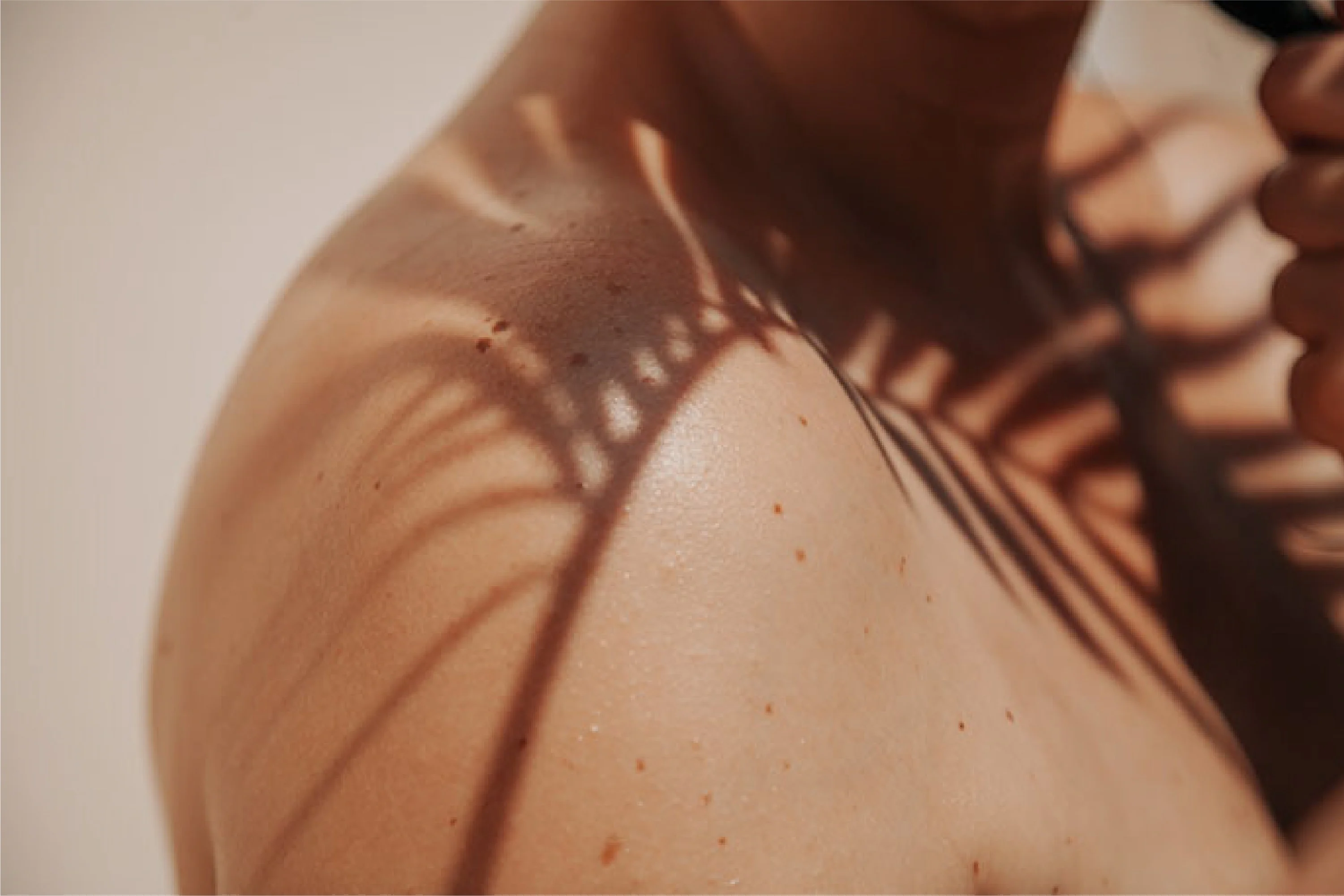 Osoa shoulder image
