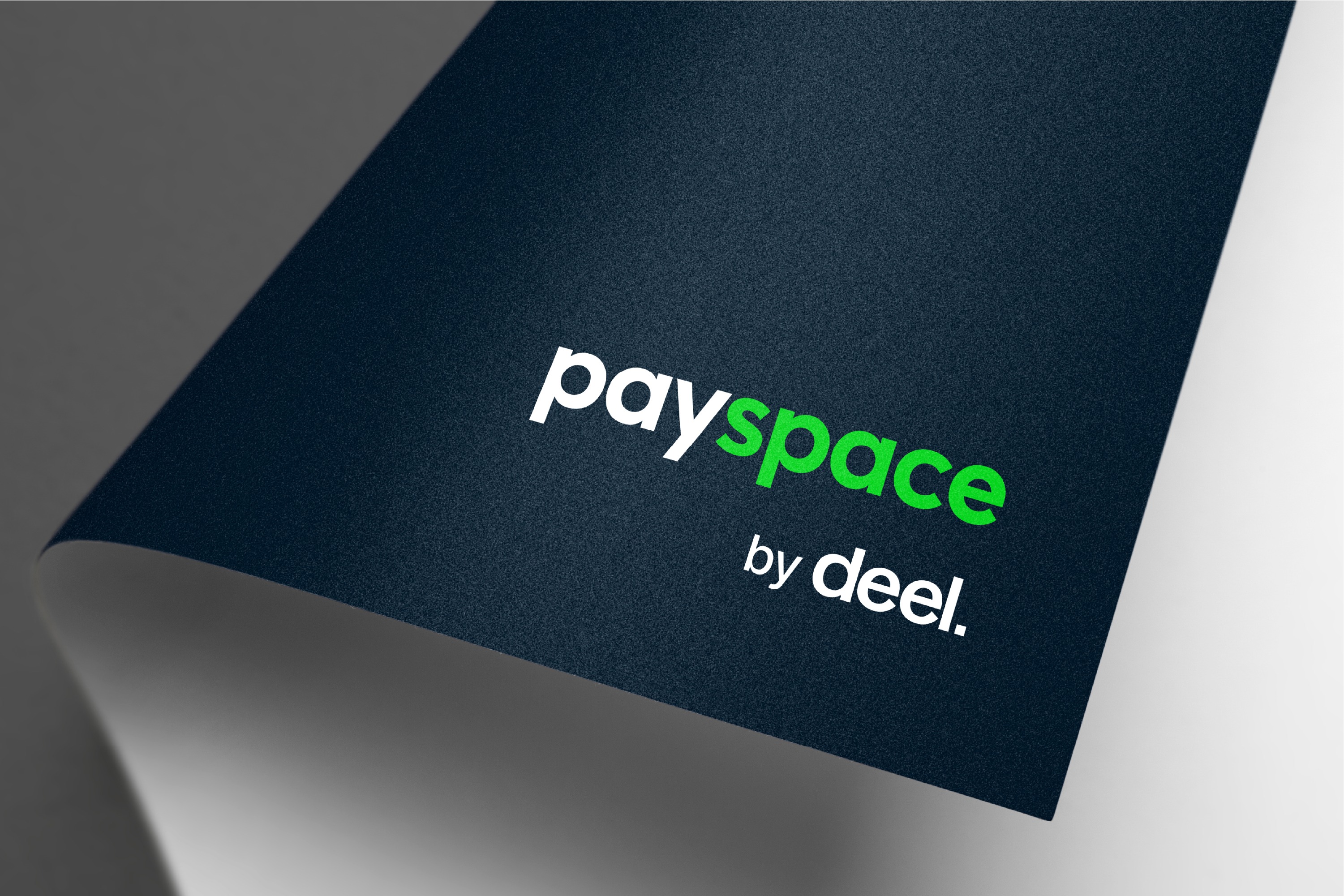 Payspace logo mockup